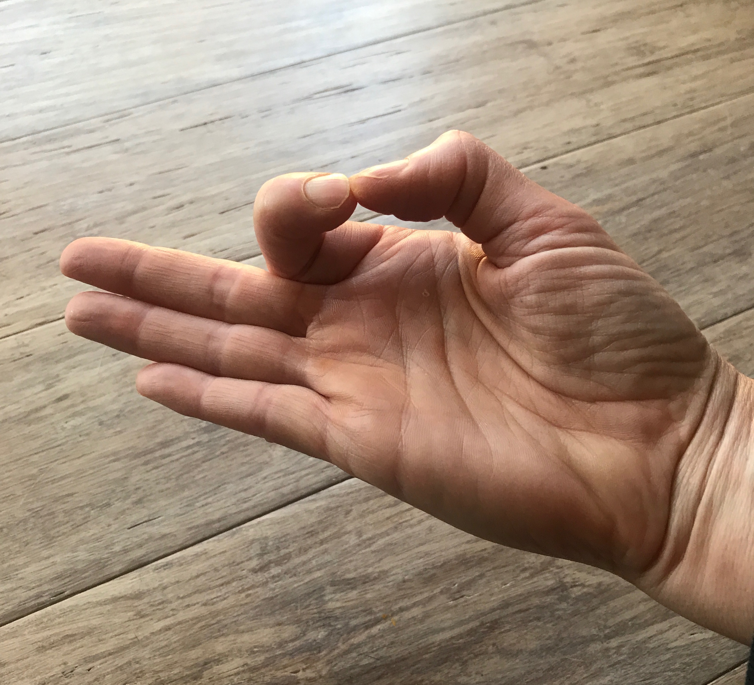 Mudra - Hand Yoga for Healing